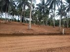 Land for Sale Kottawa