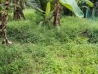 LAND FOR SALE KOTTAWA MALABE ROAD PASMAN JUNCTION