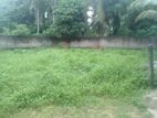 Land for Sale Kottawa Rukmalgama