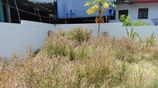 Land for Sale Kotte