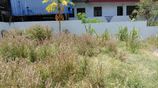 Land for Sale Kotte