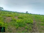 Land For Sale Kottehena( Dsp 780 )