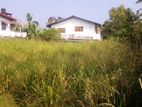 Land for Sale ( කොට්ටාව - සිද්දමුල්ල )