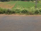 Land for Sale கரந்தன்