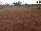 Land for Sale கரந்தன்