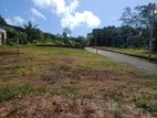 Land for sale kubuka