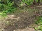 Land for Sale Kuda Bollatha