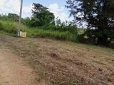 Land for Sale - Kudagammana Alawwa Giriulla