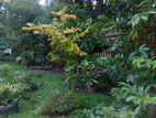 Land for Sale Kudagammana