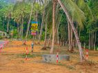 Land for Sale Kuliyapitiya