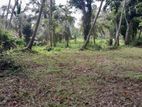 Land for Sale - Kuliyapitiya