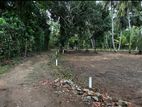 Land for Sale Kuliyapitiya