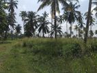 Land for Sale - Kuliyapitiya