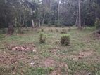 Land for Sale Kuliyapitiya