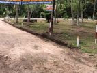 Land for Sale Kuliyapitiya