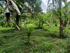 Land for Sale Kuliyapitiya