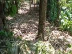 Land for Sale කුඹියන්ගොඩ
