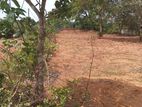 Land for Sale Kumbuka
