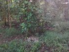 Land For Sale kundasala
