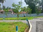land for sale kurana negambo