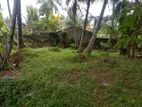 Land For Sale Kurana Negombo Gampaha