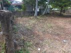 Land For Sale Kurana Negombo Gampaha