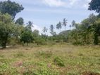 Land For Sale Kurana Negombo Gampaha