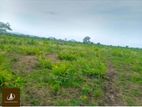 Land For Sale Kurengala Kandawtha( Dsp 888 )