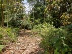 Land For Sale Kurunagala (Maspotha)