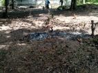 Land For Sale Kurunagala-Waduragala