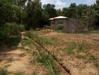 Land for Sale in Kurunegala