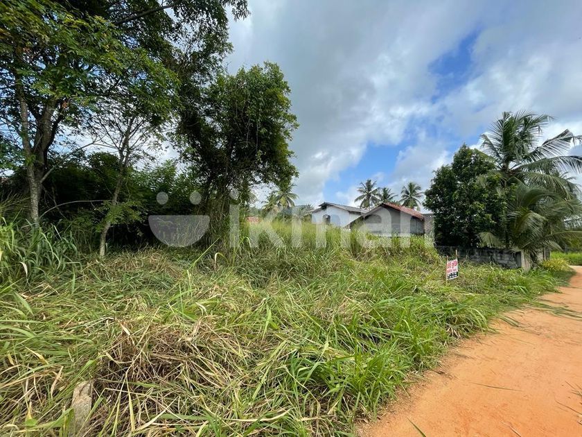 Land for Sale Kurunegala ikman