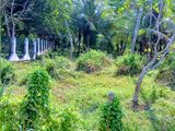 Land for Sale Kurunegala