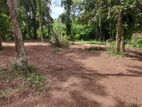 land for sale kurunegala