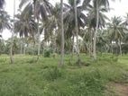 land for sale kurunegala