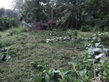 Land for Sale - Kurunegala