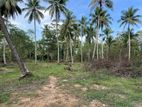 land for sale kurunegala