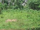 Land for Sale Kurunegala