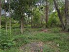 land for sale kurunegala
