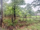 Land for Sale Kurunegala