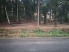 Land for Sale - Kurunegala