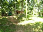 Land for sale Kurunegala
