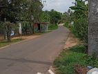 Land for Sale Kurunegala Godawita