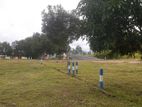 Land For Sale Kurunegala Kandy Road