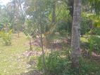 Land for Sale – Kurunegala (Main Road Property)