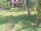 Land for Sale – Kurunegala (Main Road Property)