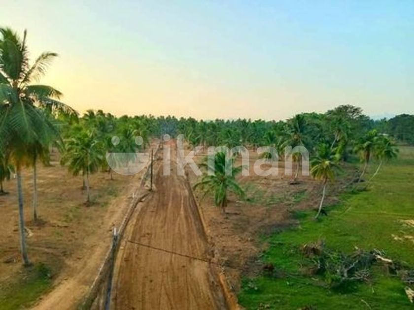 Land For Sale Kurunegala (Malkaduwawa) ikman.lk