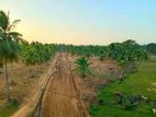 Land For Sale - Kurunegala (Malkaduwawa)