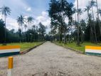 Land for Sale Kurunegala Maspotha