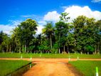 Land for Sale Kurunegala Rathmale